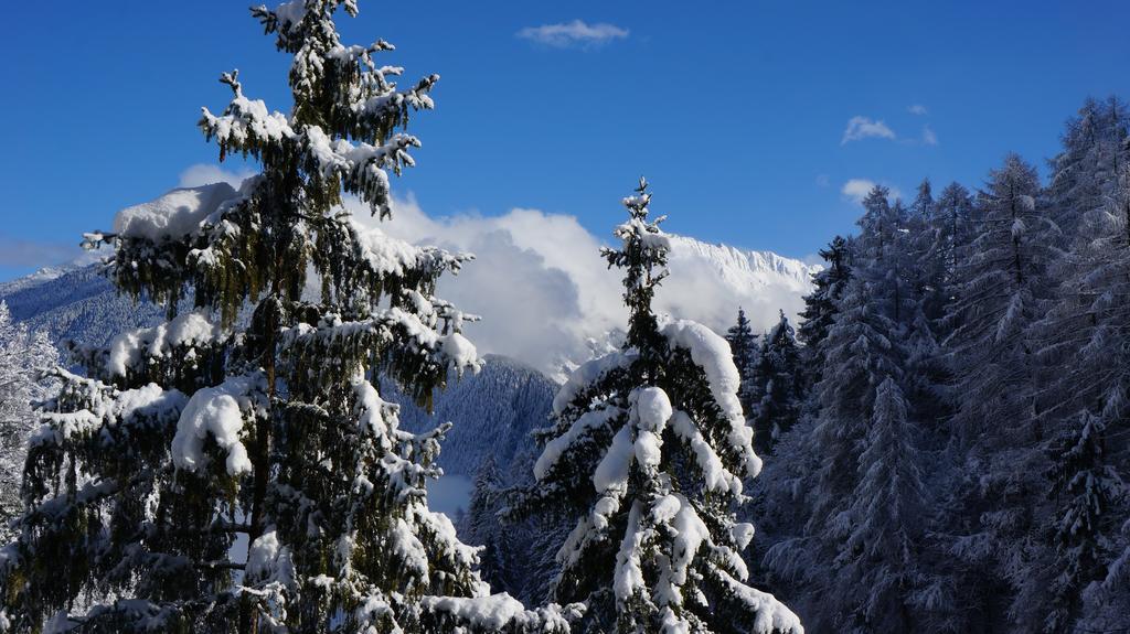 Appartements Alpenblick Finkenberg Bagian luar foto