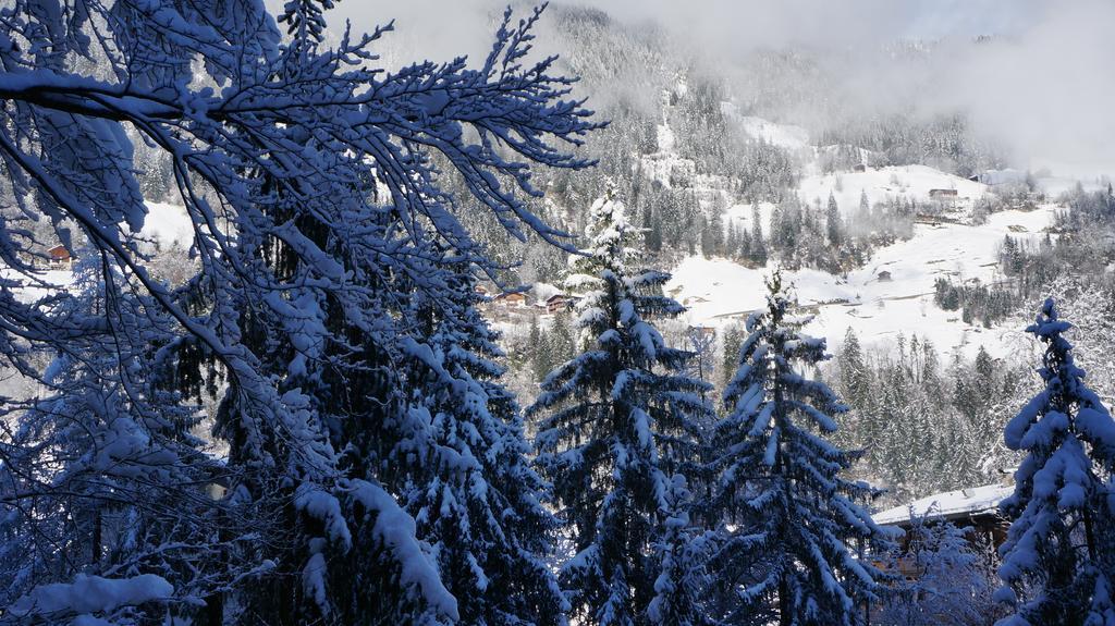 Appartements Alpenblick Finkenberg Bagian luar foto