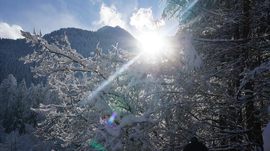 Appartements Alpenblick Finkenberg Bagian luar foto