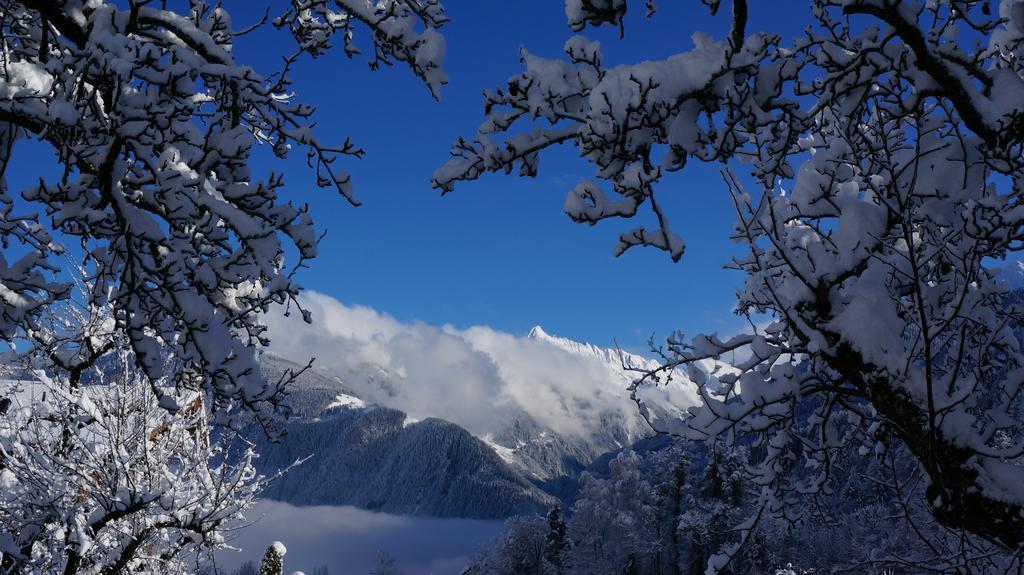 Appartements Alpenblick Finkenberg Bagian luar foto
