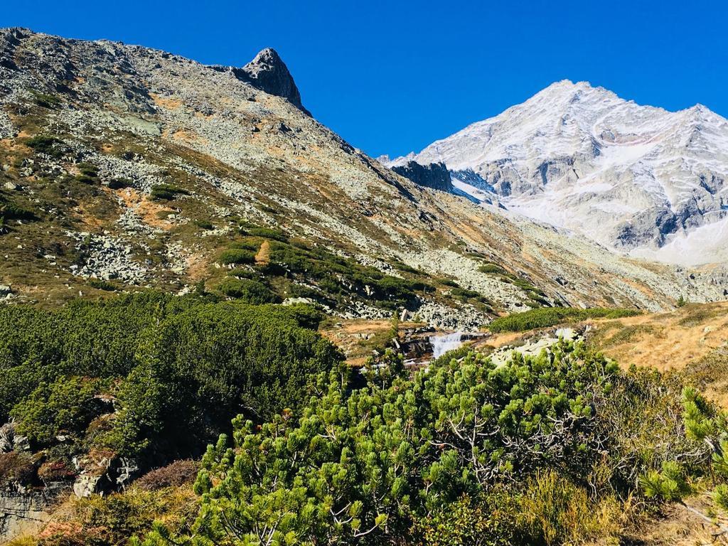 Appartements Alpenblick Finkenberg Bagian luar foto