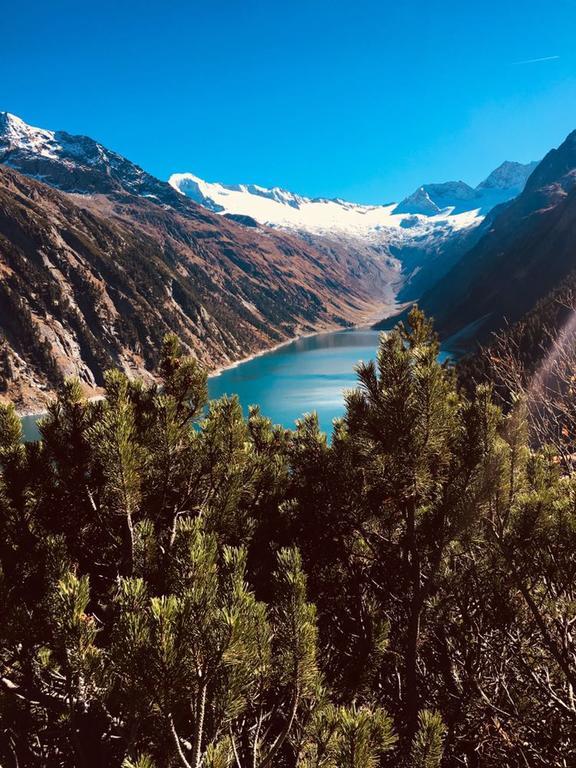 Appartements Alpenblick Finkenberg Bagian luar foto