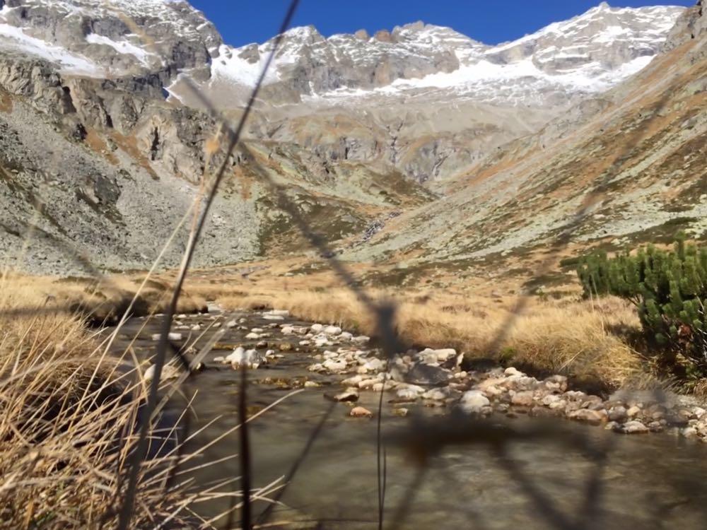 Appartements Alpenblick Finkenberg Bagian luar foto